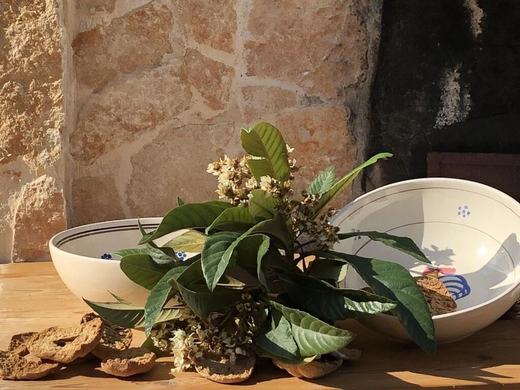 Chateaux Des Trulli San Michele Salentino Zewnętrze zdjęcie